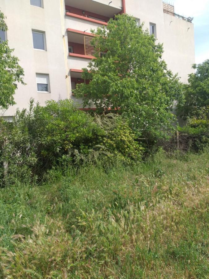 Le Nomade, Parc Montcalm Et Stationnement Prive Apartment Montpellier Ngoại thất bức ảnh